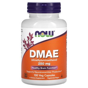 DMAE 250mg 100캡슐, 1개, 100정