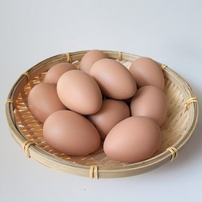 한소픈 계란 모형 달걀 모형 장식 소품 가짜 계란 달걀, 갈색왕란(12개)