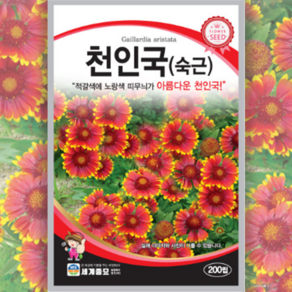 모야모 [모야모 꽃씨] 숙근제라늄(가는잎이질풀) 10립, 1개