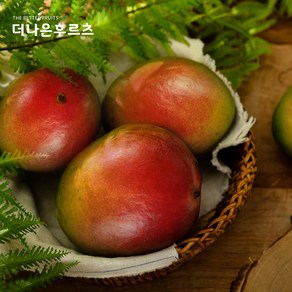 항공 직수입 특품 애플망고 실속 4~5입 2kg 이상, 1개