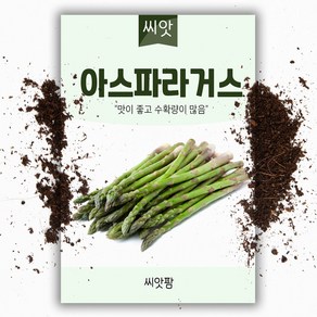 아스파라거스씨앗 (50립)채소 서양채소 씨앗, 1개