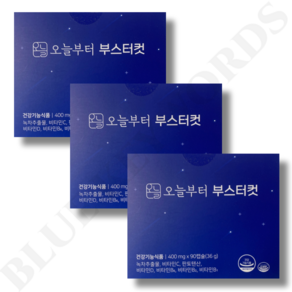 오늘부터 부스터컷 400mg x 90캡슐 x 3박스 3개월분, 90정, 3개