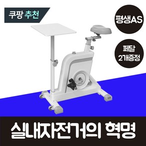 정직한형제들 실내자전거 PRO 가정용 바이크 유산소 운동 기구 헬스 좌식 사이클