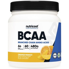 뉴트리코스트 BCAA 오렌지 망고 맛, 1개, 480g