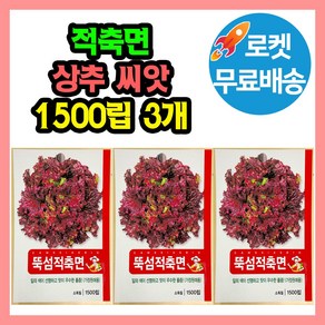 적축면 상추 씨앗 (합1500립) 상추종자, 3개