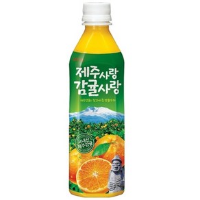 롯데칠성음료 제주감귤 500ml x 24펫