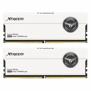 TeamGroup TeamGroup T-Force DDR5-8000 CL38 XTREEM 화이트 패키지 서린 (32GB(16Gx2))