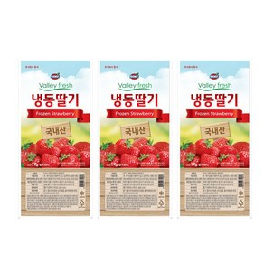 동서 리치스 밸리 냉동 가당딸기 1kg X 3개 아이스박스 무료 딸기퓨레 스무디