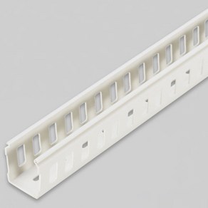 일신전기조명 PVC닥트 랜덕트 몰딩전선정리 60X100 2M 바디, 1개