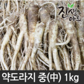 국내산 약도라지 중 1kg