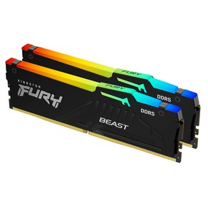 Kingston FURY DDR5 AM5 AMD EXPO Kingston FURY Beast RGB AM5 CL36 KF552C36BBEAK2-32 RGB LED 킹스톤, 32GB (2x16GB)_6000MT/s, 6) 32GB (2x16GB) - 5200MT/s, 2개