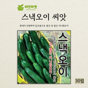 세계종묘 청스낵오이 씨앗 30립, 1개