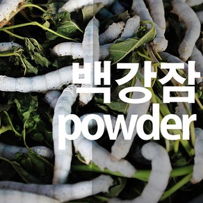 백강잠가루 누에분말, 200g, 1개, 1개입