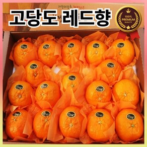 시즌앤홈 제주 고당도 산지직송 프리미엄 레드향 3kg 5kg 제주도 과일 명절 설날 선물 세트, 레드향 선물용(고급) 3kg, 1박스, (7-16과)