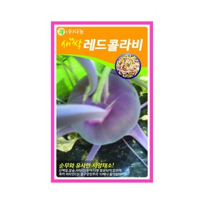 (DN) 새싹 레드콜라비 씨앗(12g), 1개