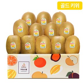 프루미츠 고당도 제주 제스프리 골드키위 1.4kg 1.8kg, 1.4kg(12입), 1개