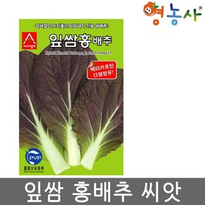 잎쌈홍배추 씨앗 500립 잎따내기 홍 쌈배추 종자 케타카로틴 영농사, 잎쌈홍배추씨앗, 1개