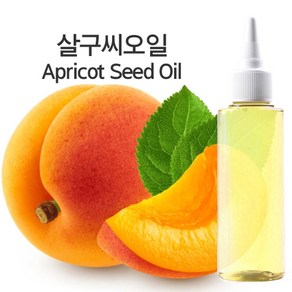 살구씨오일(정제) 100ml/ 500ml, 100ml, 1개