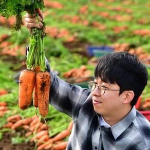 제주 구좌당근 무농약 유기농 흙당근 쥬스용 미니당근 3kg 5kg 10kg, 1박스, 유기농흙당근(상) 5kg