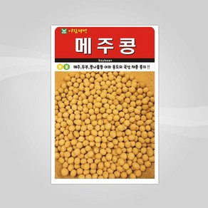 슬로시 열매 씨앗 종자 고추 가지 토마토 완두콩 녹두, 콩씨앗, 04 메주콩 30g, 1개