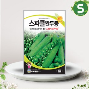 솔림텃밭몰 스파클완두콩 씨앗 40g 조생계 수확, 1개