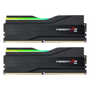 [서린공식] G.SKILL DDR5 5600 CL30 TRIDENT Z5 RGB J 블랙 패키지 64GB(32Gx2), 2개