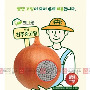 양파씨앗 천주중고황 (펠렛) (500립), 1개