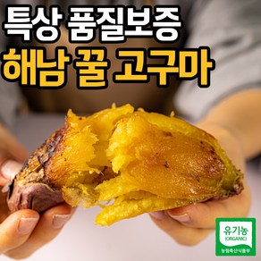 [특품] 해남 고구마 밤 호박 베니하루카 꿀고구마