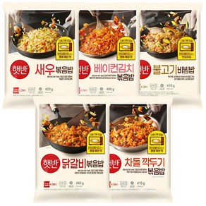 CJ 비비고 볶음밥 5종 (닭갈비볶음밥+차돌깍두기볶음밥+새우볶음밥+베이컨김치볶음밥+불고기비빔밥), 1개, 400g