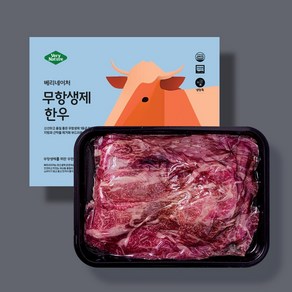 베리네이처 무항생제 한우 설도 불고기 소고기 300g 1등급 [냉장], 4. 설도 불고기50g*6구(아이용), 6개