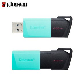 킹스톤 USB메모리 DTXM 256GB 유에스비 메모리 DTXM/256GB