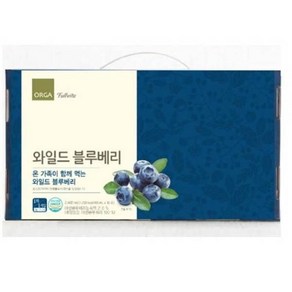 (롯데백화점)풀비타 와일드 블루베리(80ml30포), 2.4L