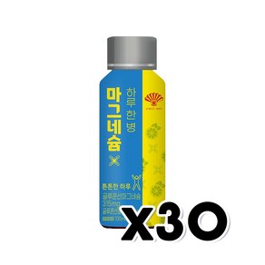 하루한병 마그네슘 에너지드링크 100ml x 30개