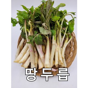 두릅 땅두릅 1kg 야채맘, 1개