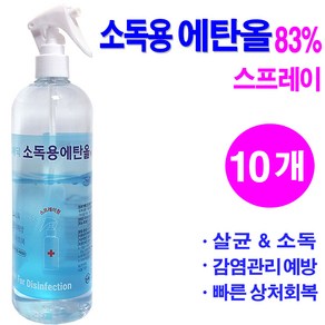 두원사이언스 살균소독 소독용에탄올 스프레이 500ml 감염관리예방, 10개