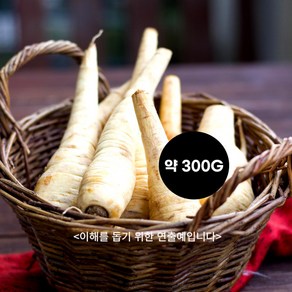 파스닙 약 300G 설탕당근 pasnip, 1개