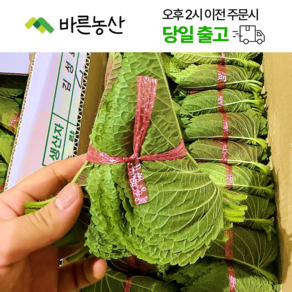 < 바른농산 > 국내산 깻잎 쌈채소 찹찹이깻잎, 1개, 2kg