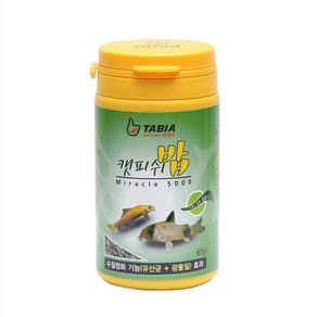 어밥 타비아 캣피쉬 사료 밥 먹이, 1개, 65g