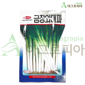 경신종묘 금장외대파 씨앗, 8g, 1개