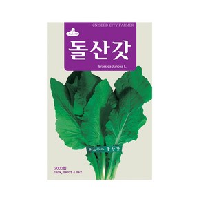 (CN) 돌산갓 씨앗 (2000립), 1개