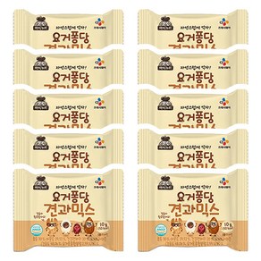 CJ 아이누리 요거퐁당 견과믹스 10g x 10개