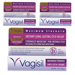 Vagisil 바지실 멕시멈 스트렝스 안티 이치 보습 크림 28g(1oz) 3팩 Maximum Stength Anti-Itch Ceam, 28g, 3개