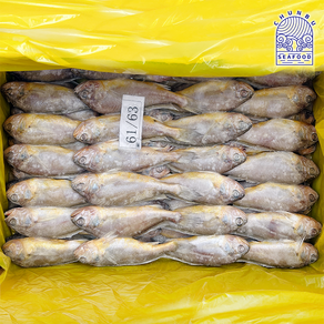 냉동 참조기 3.5kg 60-63미 냉동조기 조기구이 참조기 부세조기, 1개