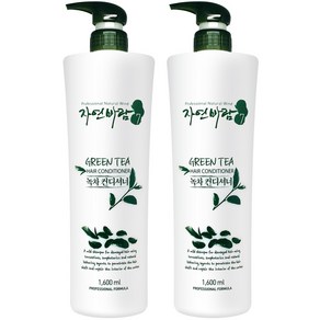 자연바람 그린티 녹차컨디셔너 미용실 린스 대용량 린스 1600ml x 2개, 1.6L