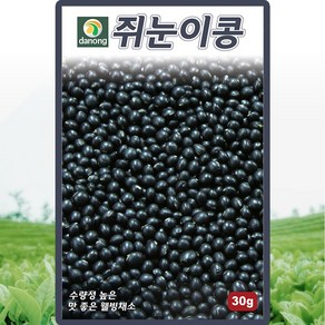 다농 쥐눈이콩 씨앗 30g 검은 콩씨 서목태 약콩 종자, 1개