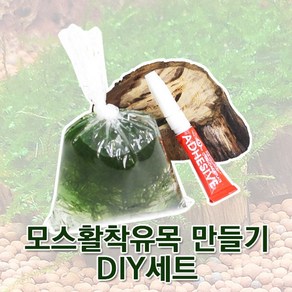 피알피쉬 모스활착유목 만들기 DIY세트