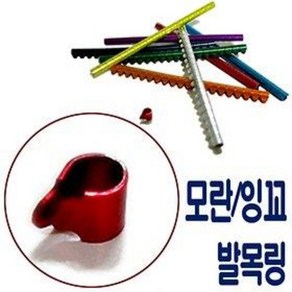 퀴코 잉꼬 모란 발목링 (1개)/소형앵무/앵무새, 1개