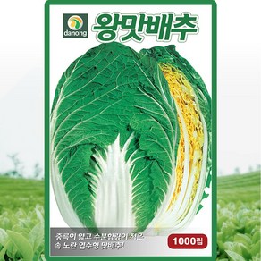 다농 왕맛배추 씨앗 1000립 가을 김장배추씨 종자