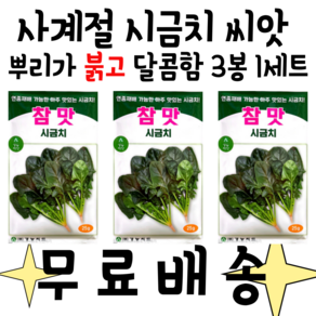 시금치씨앗 3개입1세트 [무료]배송 참맛시금치3봉 사철시금치 남해시금치 월동시금치 씨앗 뿌리자색발현우수 및 달달한 시금치 품종, 1세트