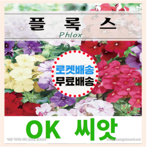 [OK씨앗] [플록스] 플록스씨앗 종자(오케이씨앗), 1개